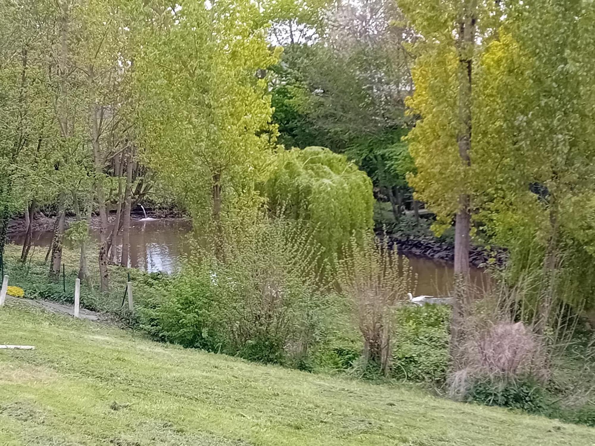 Maison Au Coeur De La Nature Cerisy-la-Foret 外观 照片